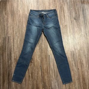 Articles of Society Dark Wash Skinny Jeans